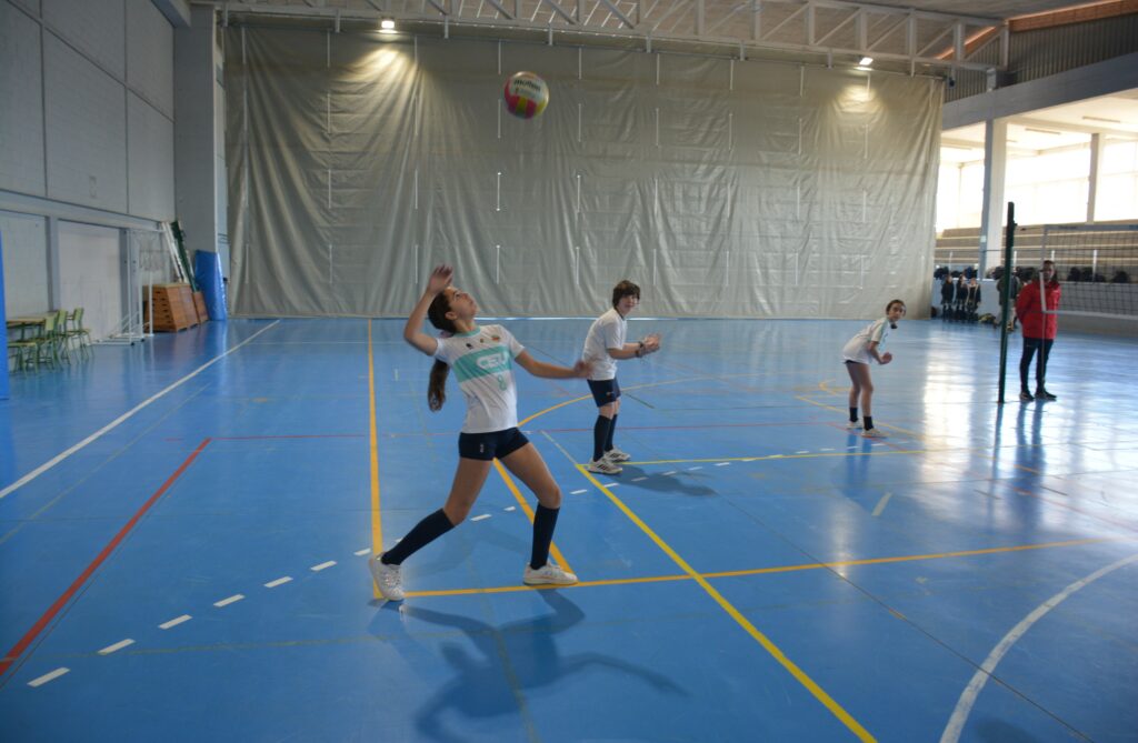 1 DSC 0375 &bull; Nuevo Campeonato de Voleibol en las instalaciones deportivas CEU