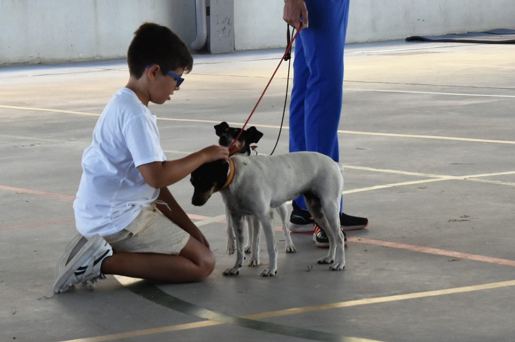 1 DSC 3754 • El Summer Camp cierra sus puertas con la representación de clásicos Disney
