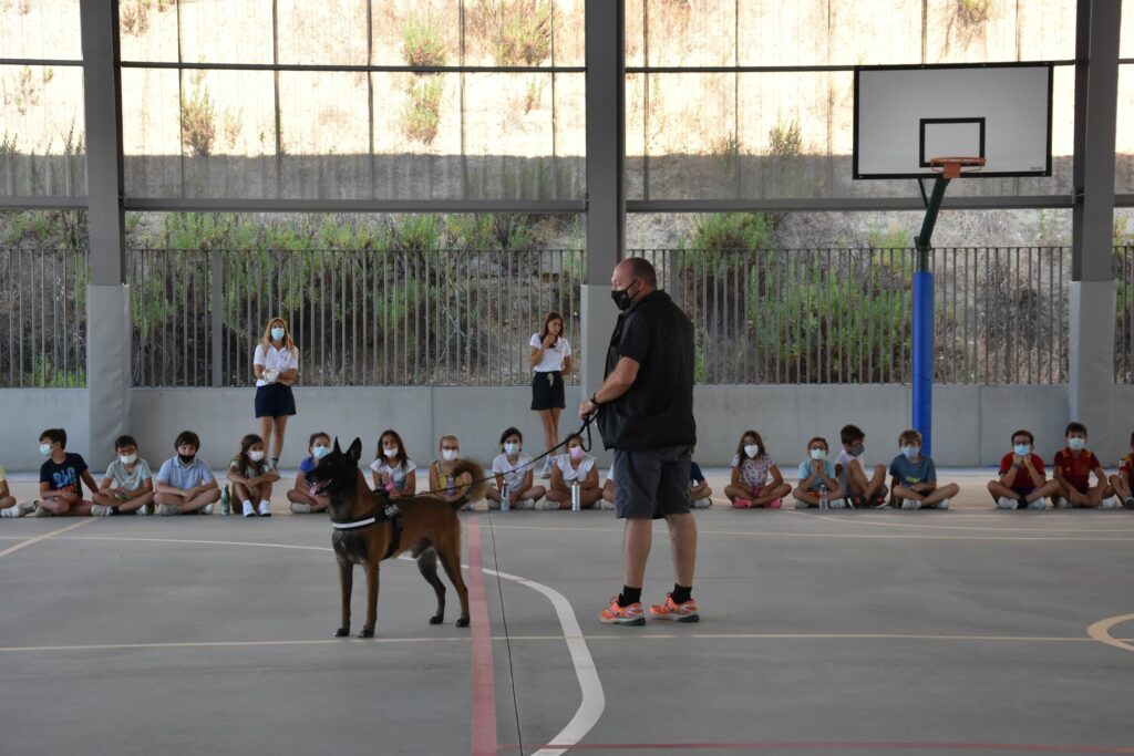 1 DSC 7690 &bull; Perros adiestrados visitan el Summer Camp del Colegio CEU San Pablo Sevilla
