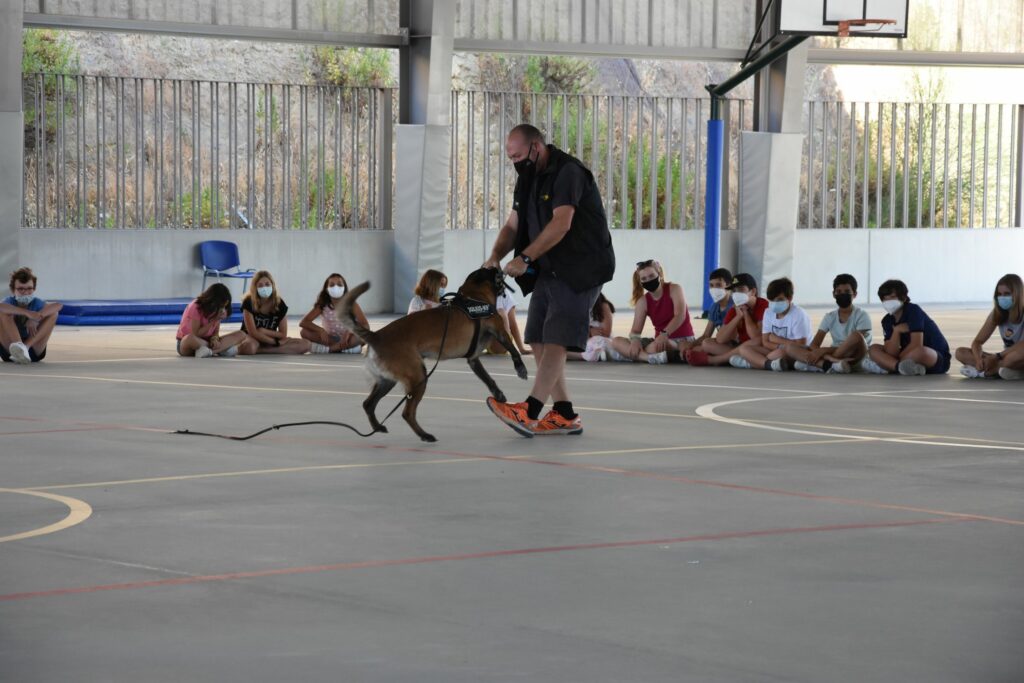 1 DSC 7703 &bull; Perros adiestrados visitan el Summer Camp del Colegio CEU San Pablo Sevilla