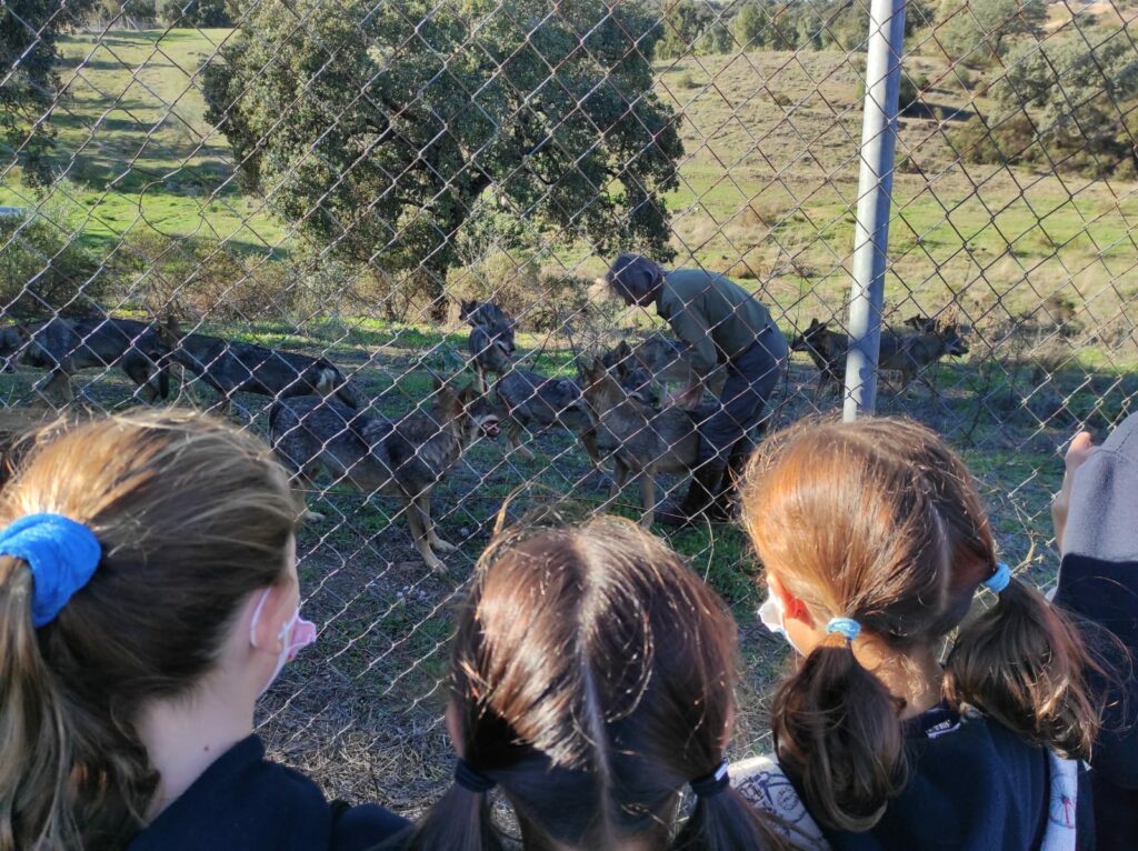 1 IMG 20211105 WA0031 &bull; Alumnos de Educación Primaria del Colegio CEU San Pablo Sevilla visitan MundoPark