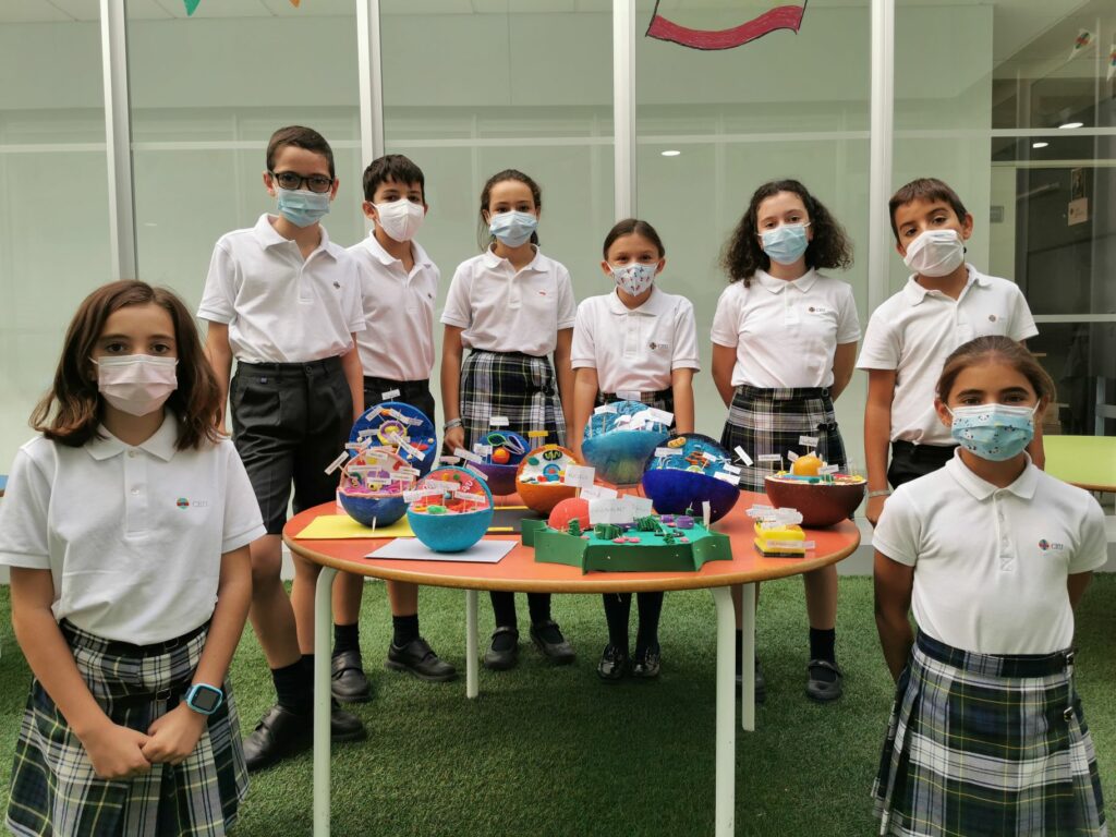 1 IMG 20210930 114758 &bull; Los alumnos de 5º de Educación Primaria del Colegio CEU San Pablo Sevilla participan en el proyecto Cell Structures