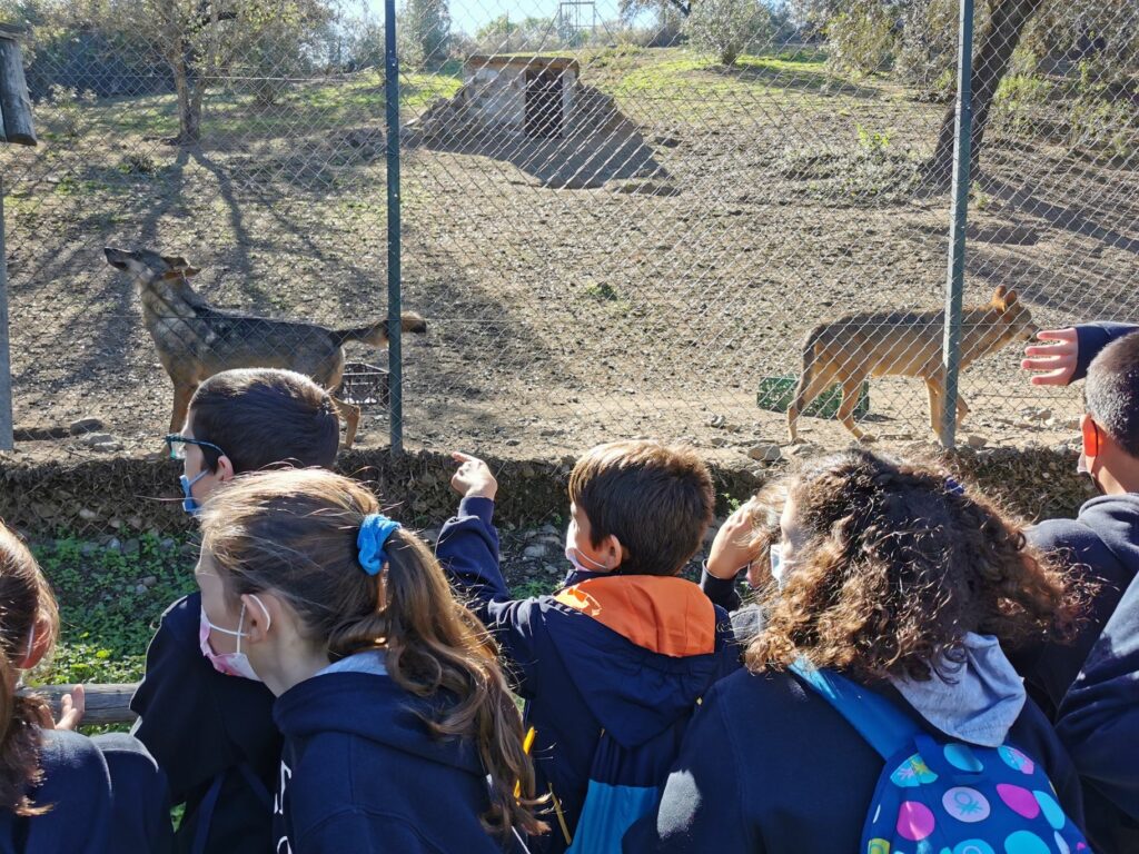 1 IMG 20211105 114357 &bull; Alumnos de Educación Primaria del Colegio CEU San Pablo Sevilla visitan MundoPark