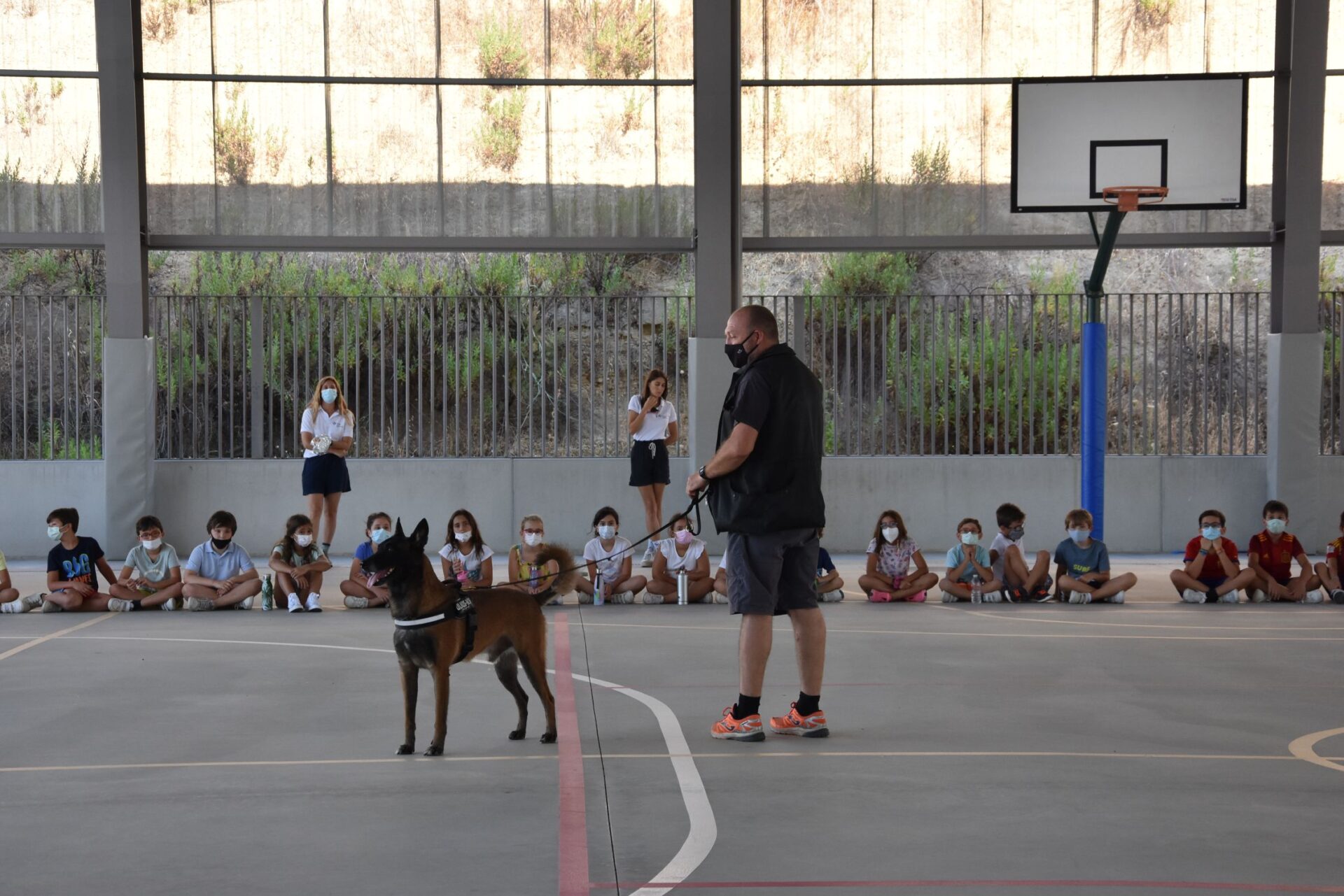 DSC 7690 &bull; Perros adiestrados visitan el Summer Camp del Colegio CEU San Pablo Sevilla