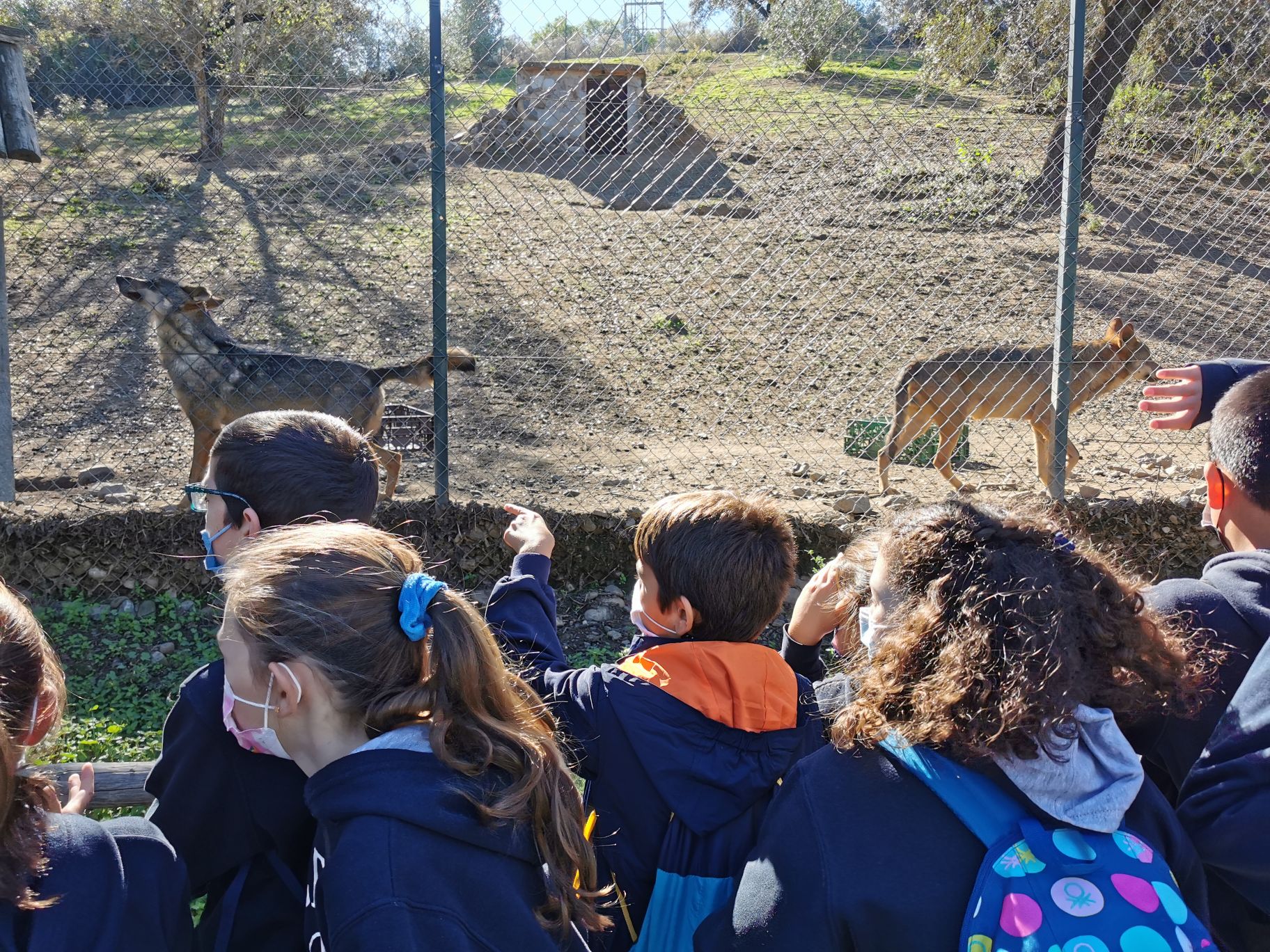 IMG 20211105 114357 &bull; Alumnos de Educación Primaria del Colegio CEU San Pablo Sevilla visitan MundoPark