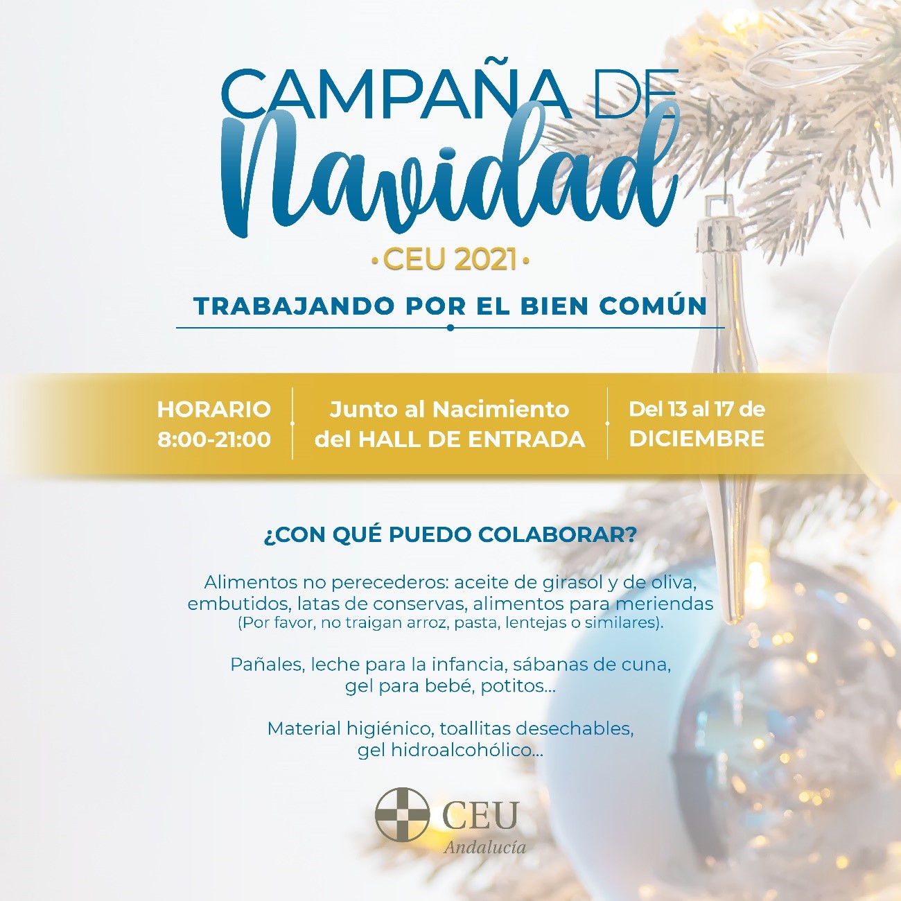 voluntariado1 &bull; El Servicio de Voluntariado y Acción Social de CEU Andalucía lanza su tradicional Campaña de Navidad, bajo el lema “Trabajando por el bien común”