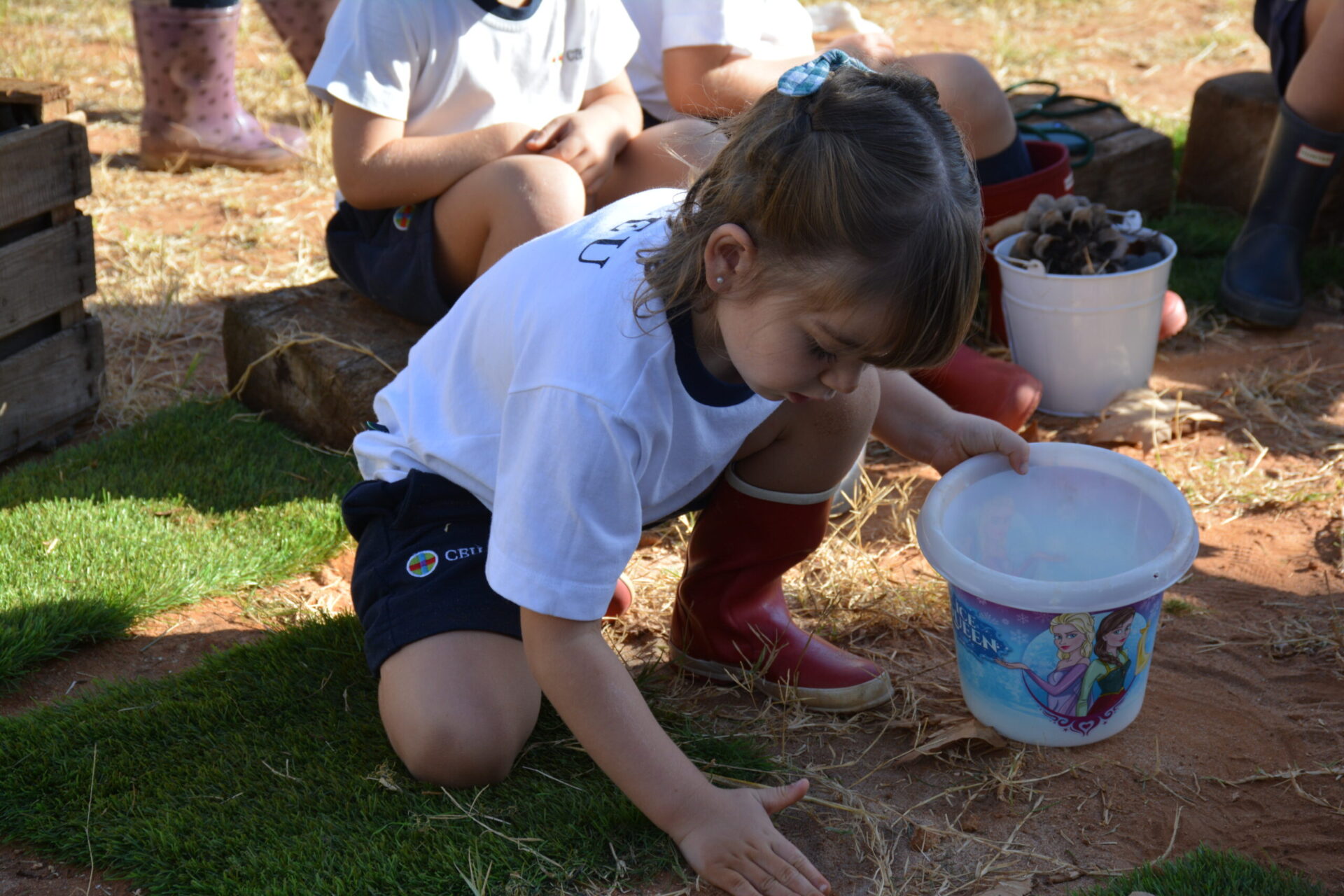 DSC 0045 scaled &bull; Proyecto Forest School en Educación Infantil y Primaria: aprender en contacto con la naturaleza