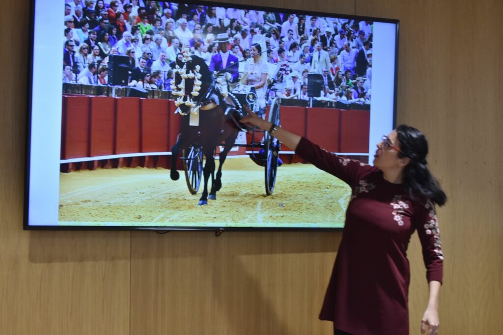 2 DSC 7553 • Taller de enganches en el Colegio CEU San Pablo Sevilla