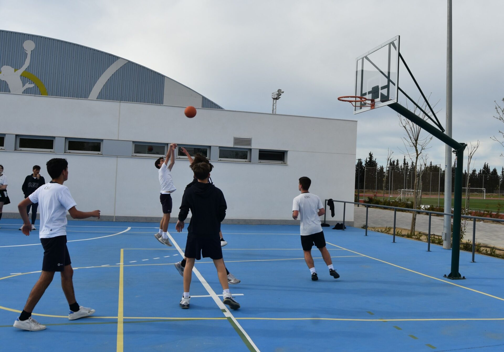 3 DSC 5877 scaled &bull; Día del Deporte en el Colegio CEU San Pablo Sevilla