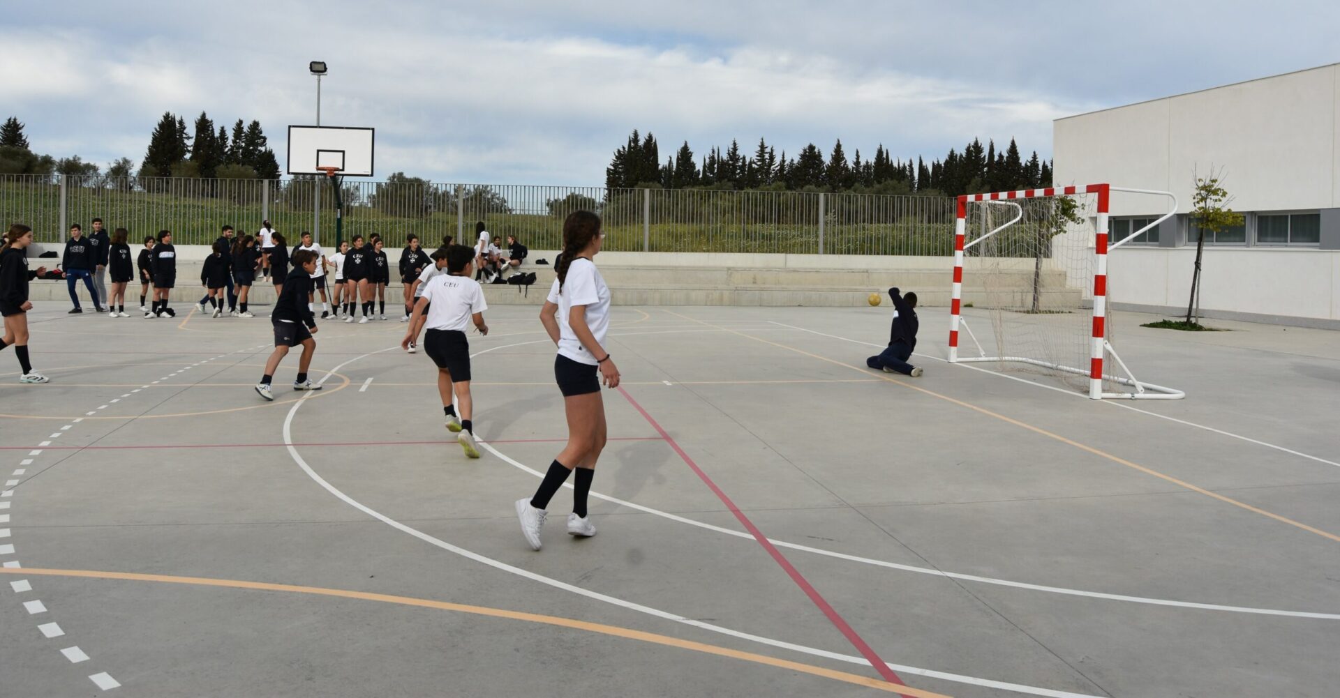 3 DSC 5947 scaled &bull; Día del Deporte en el Colegio CEU San Pablo Sevilla