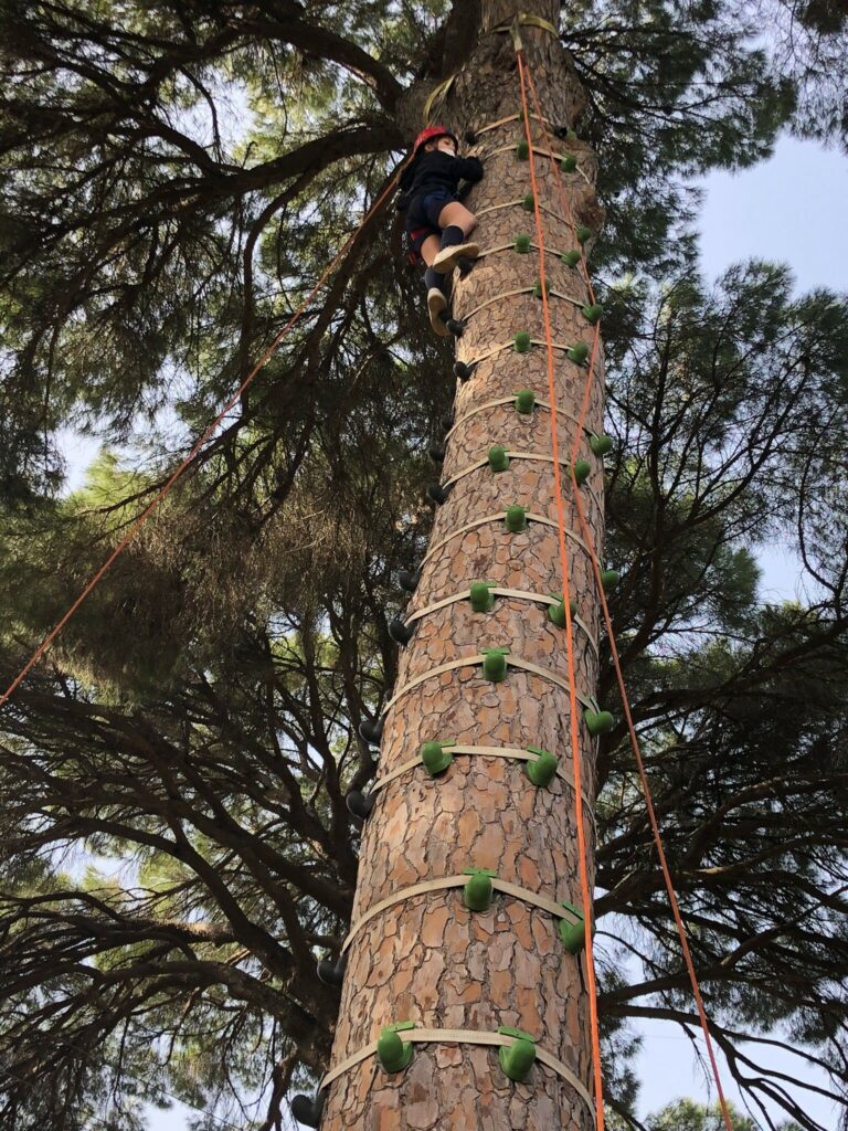 6 &bull; Alumnos del Colegio CEU San Pablo Sevilla visitan el Bosque Suspendido, parque de aventuras en los árboles