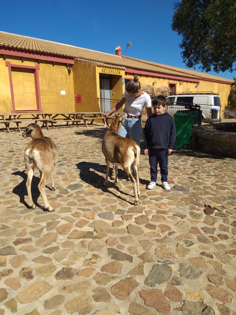 A3788D71 DECA 42A6 89EE 21F61BA7D3A0 1 105 c &bull; Alumnos del Colegio CEU San Pablo Sevilla visitan el Centro Andaluz de Fauna Salvaje