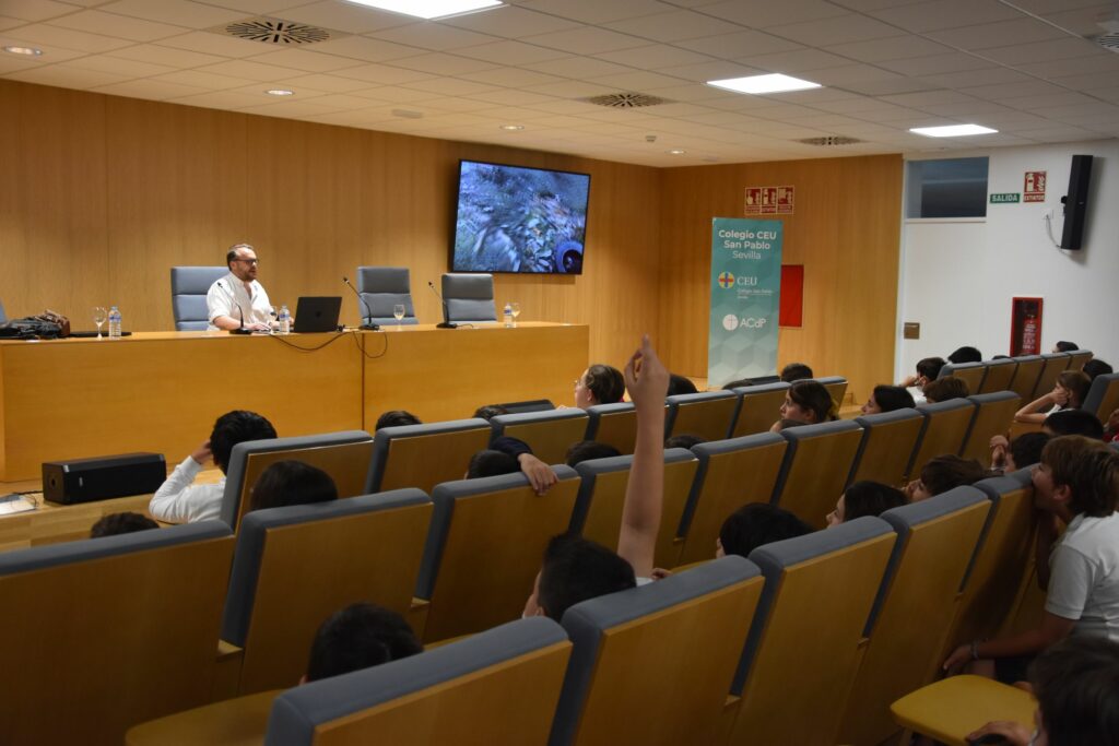 DSC 6300 &bull; Alumnos de 5º de Primaria del Colegio CEU San Pablo Sevilla participan en una sesión sobre periodismo corresponsal y técnicas de oratoria