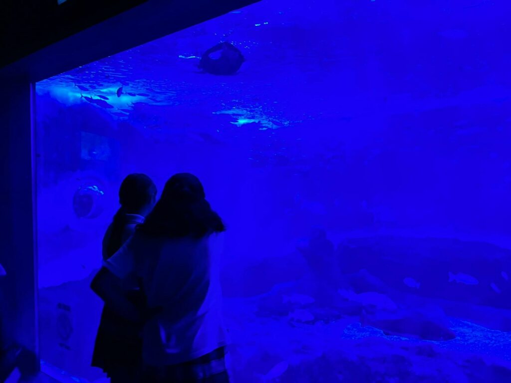 EXCURSION 1 &bull; Del acuario al mundo 3D