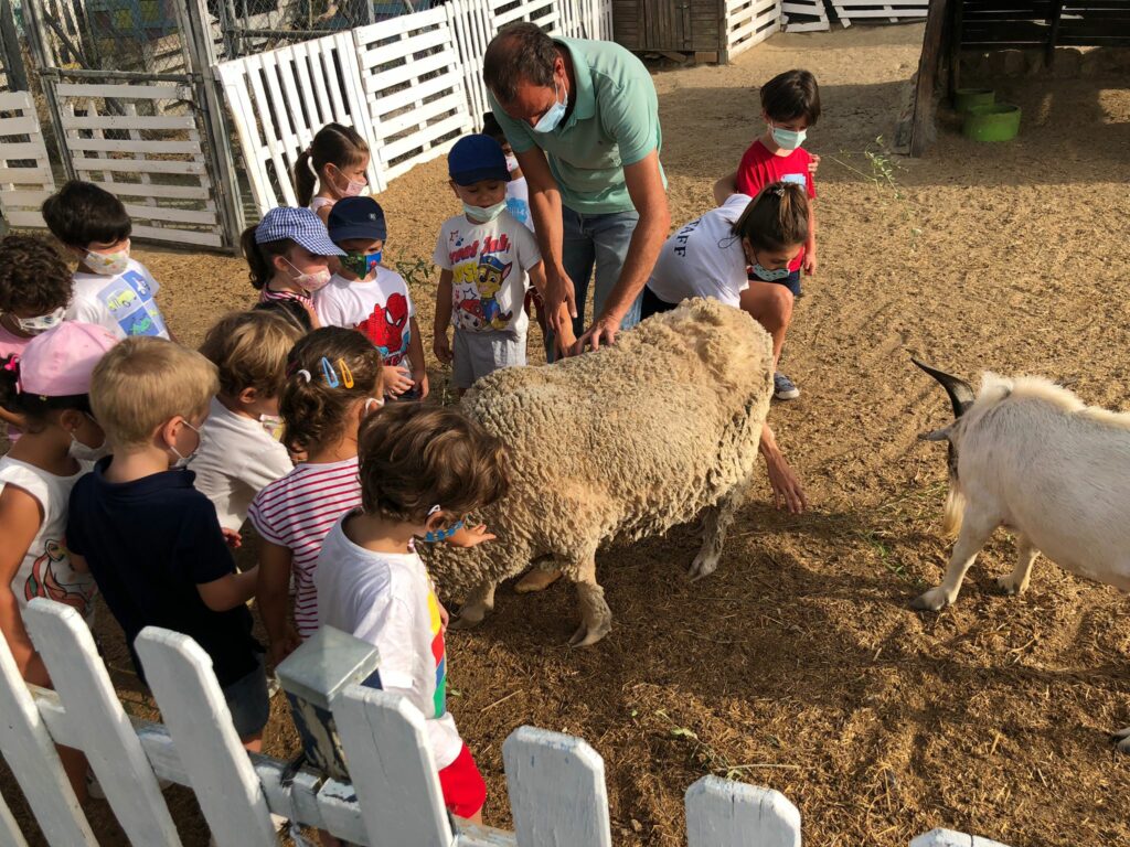 WhatsApp Image 2021 07 23 at 12.36.457 &bull; Finaliza el Summer Camp del Colegio CEU San Pablo Sevilla