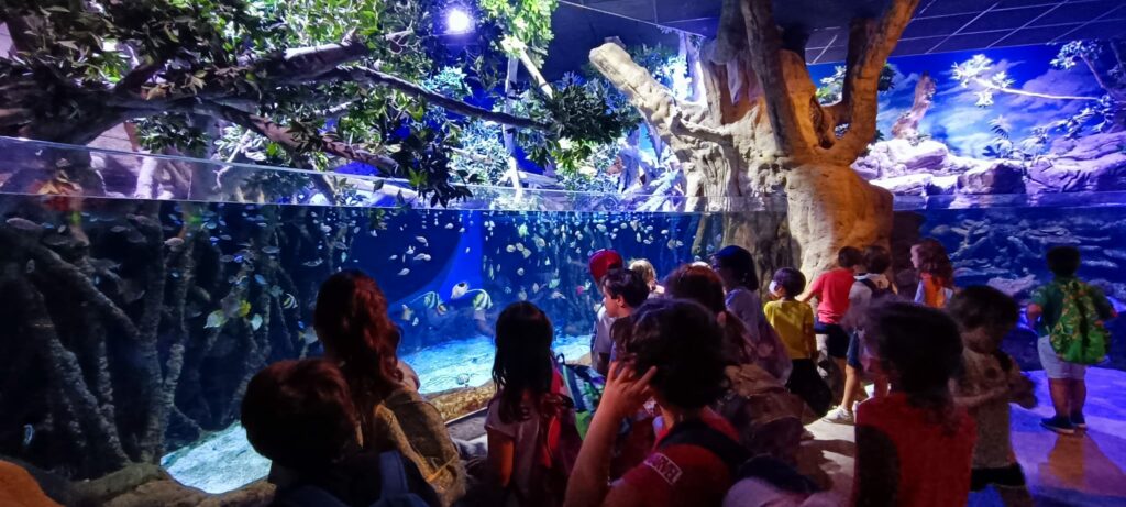 WhatsApp Image 2022 07 08 at 11.05.27 AM &bull; Más de 250 niños participan en el Summer Camp del Colegio CEU San Pablo Sevilla