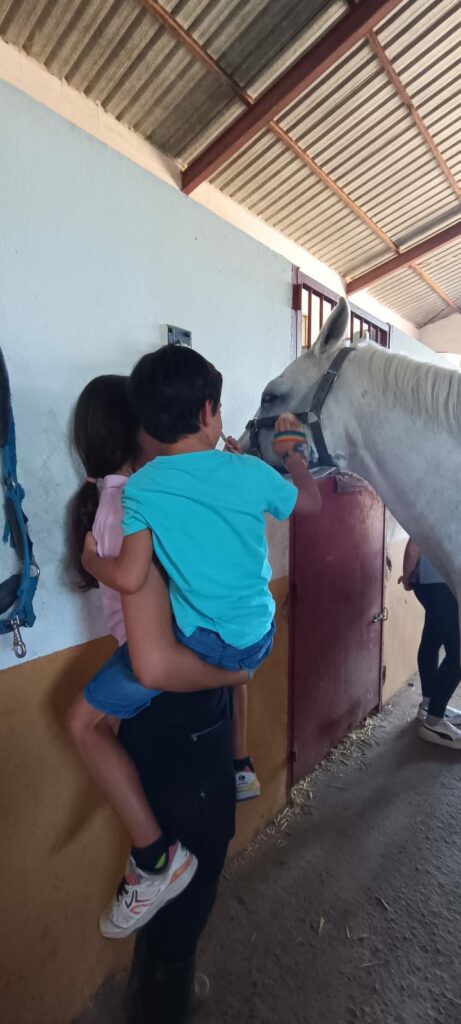 WhatsApp Image 2022 07 28 at 11.54.54 AM2 &bull; Más de 250 niños participan en el Summer Camp del Colegio CEU San Pablo Sevilla