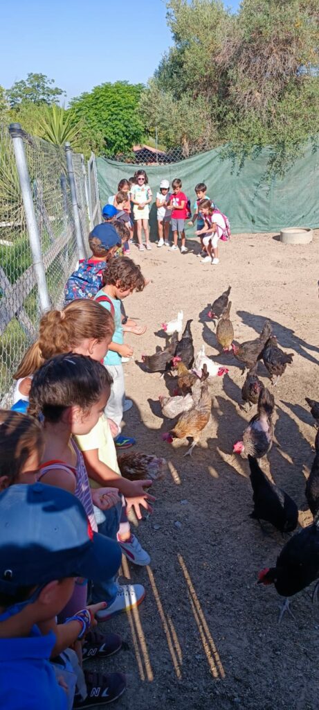 WhatsApp Image 2022 07 28 at 11.54.55 AM1 &bull; Más de 250 niños participan en el Summer Camp del Colegio CEU San Pablo Sevilla