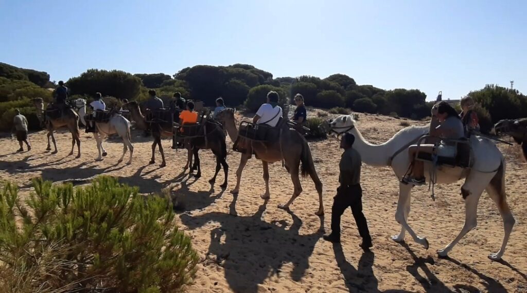 WhatsApp Image 2022 07 28 at 12.02.07 PM1 &bull; Primer campamento de verano de los Scouts del Mar del Colegio CEU San Pablo Sevilla