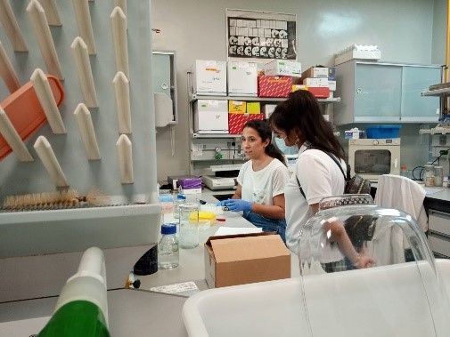 cabimer 2 &bull; Alumnos de 1º de Bachillerato del Colegio CEU San Pablo Sevilla visitan el Centro Andaluz de Biología Molecular y Medicina Regenerativa